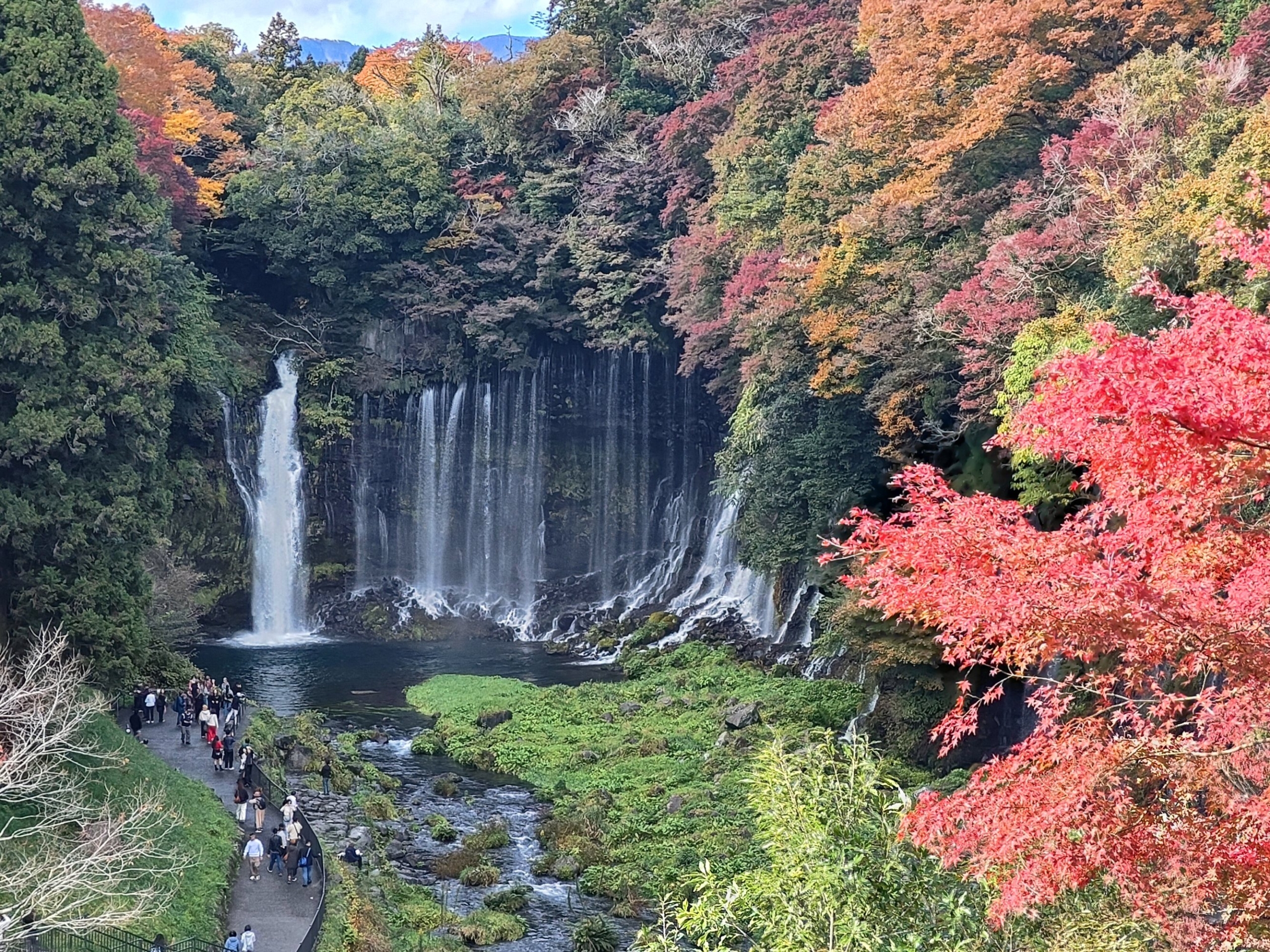 外出のご様子-1 ニチイホーム都立家政