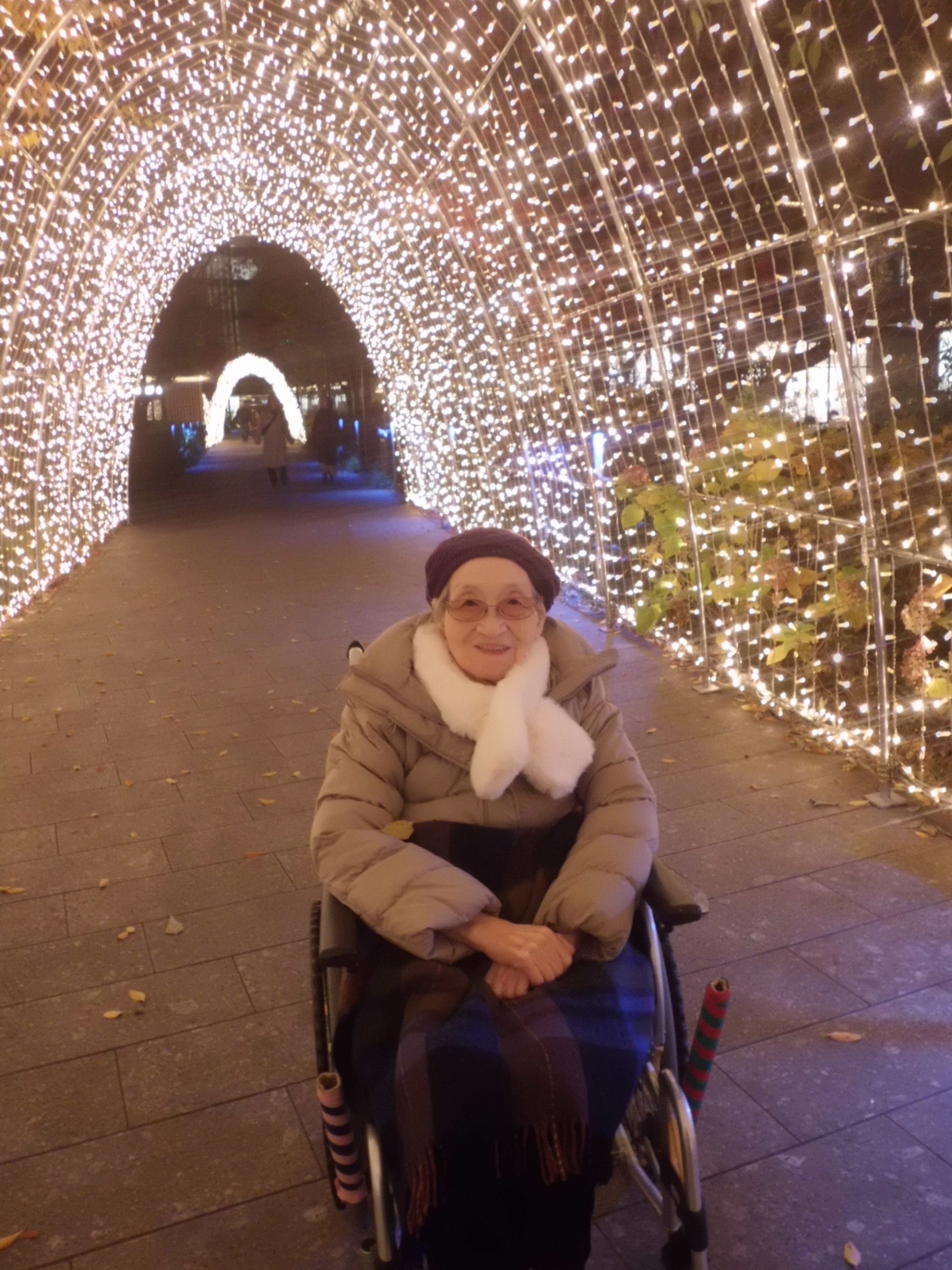 イルミネーション見学-1　ニチイホーム昭島昭和の森