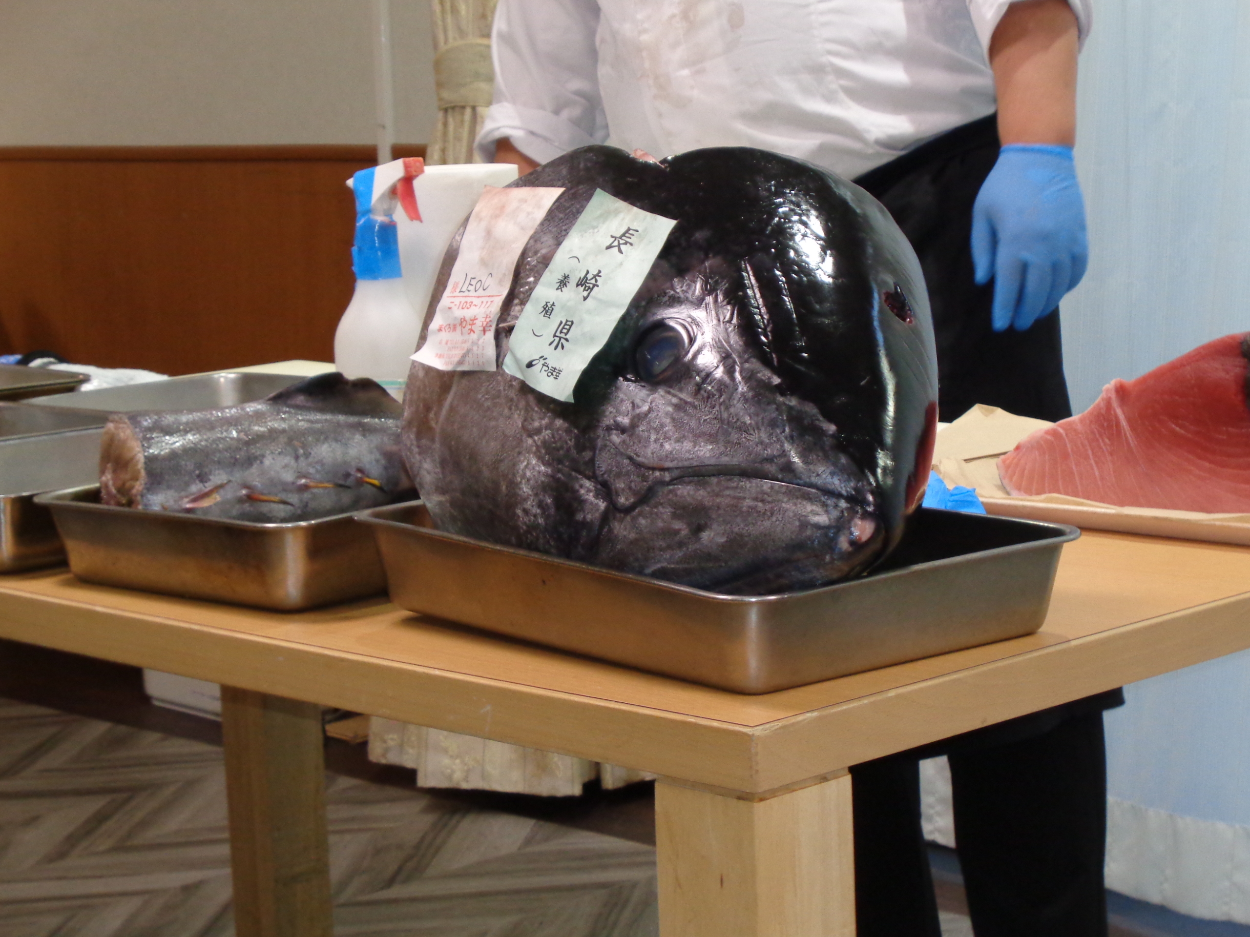 ニチイホーム自由が丘のまぐろ解体ショー1