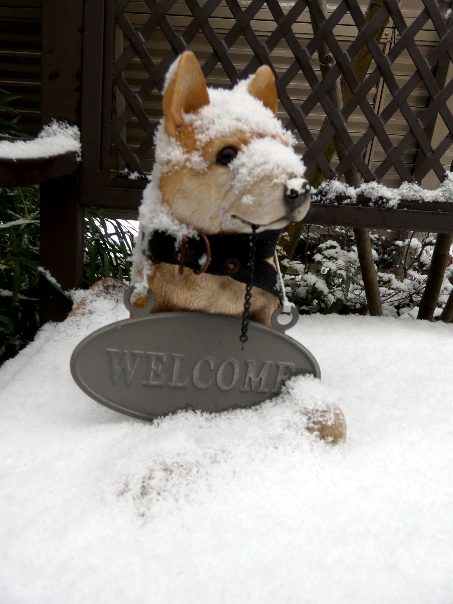 ニチイメゾン北豊島の雪景色４
